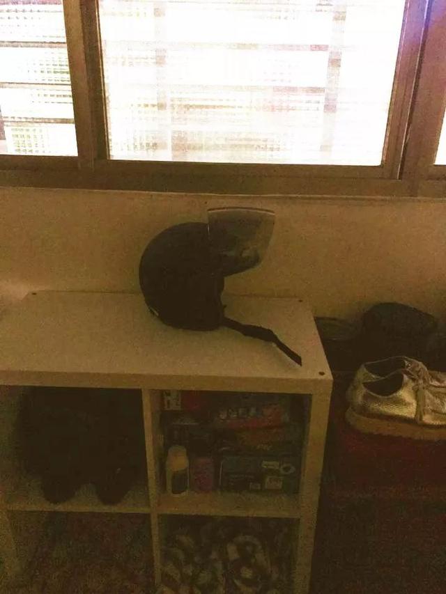 從天而降三隻串串貓，苦苦掙扎，路人視而不見