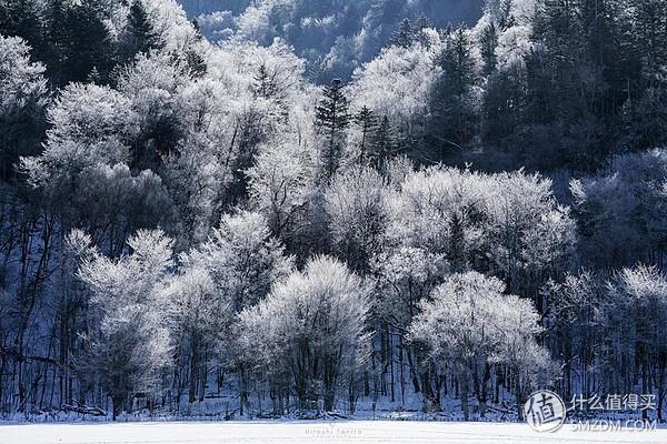 在號稱日本食材庫的北海道怎麼吃？超全北海道美食攻略