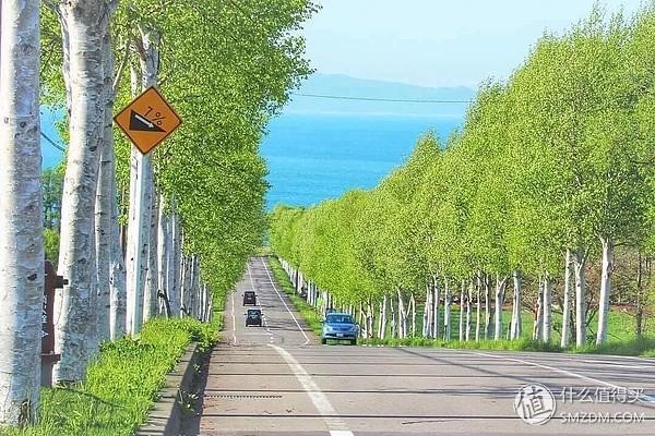 在號稱日本食材庫的北海道怎麼吃？超全北海道美食攻略