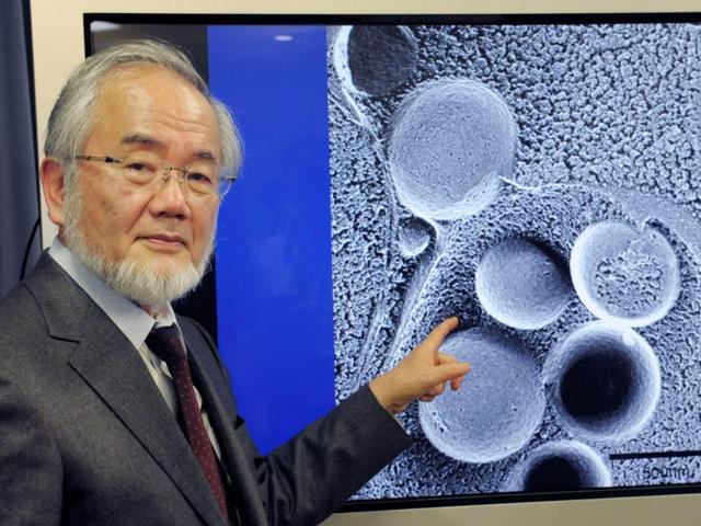 諾貝爾得主發現「餓肚子」比較健康　細胞會「自己吃自己」身體變超乾淨！