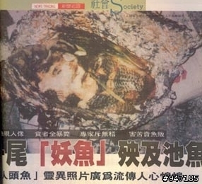 轟動全台的鬼故事「魚肉好吃嗎」？沒想到「暗藏玄機」的照片，讓當初「吃魚的5個人」下場都超慘...
