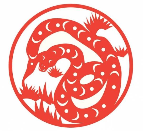 12生肖「最好命」的7個生肖女，十人有九福！ 