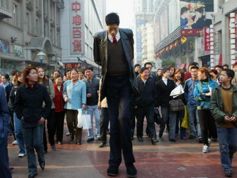 他們坐著也比你高！　15位「疊起來突破10層樓」的世界超級巨人