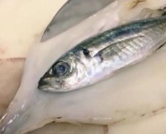 男子買了魚回家，妻子突然說不對勁，剖開魚肚子後高興壞了
