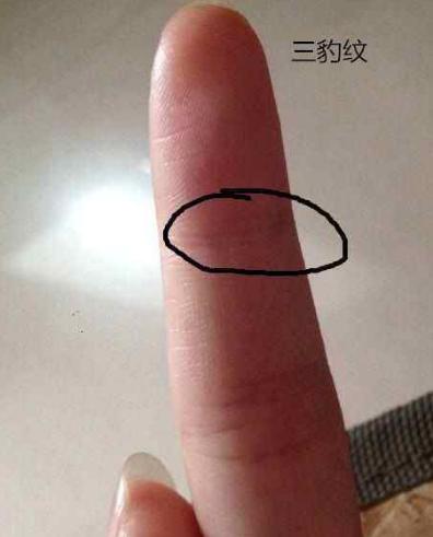 手相看男人財運，天生財運出色的人，有這些手相特徵 