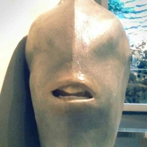 難怪都照側面！　網在水族館目睹「翻車魚正面」驚：絕對無法接受