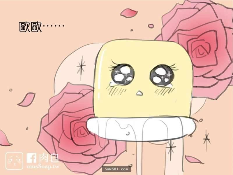 這是一個變態肥皂和他最愛的主人的爆笑故事 可是結尾肥皂的下場太可憐了 每次被男主人使用，它都超級開心