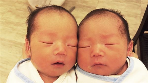 老婆做試管嬰兒，生下一對可愛的雙胞胎！親子鑑定卻是叔叔的DNA！但老公是獨生子啊！