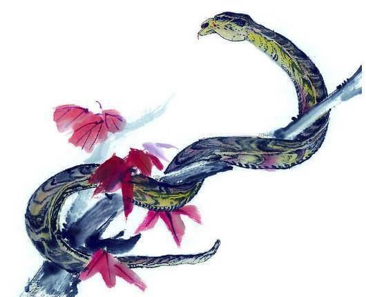 蘇民峰：這五個生肖的人，都是後半生最有錢的人，註定有錢花