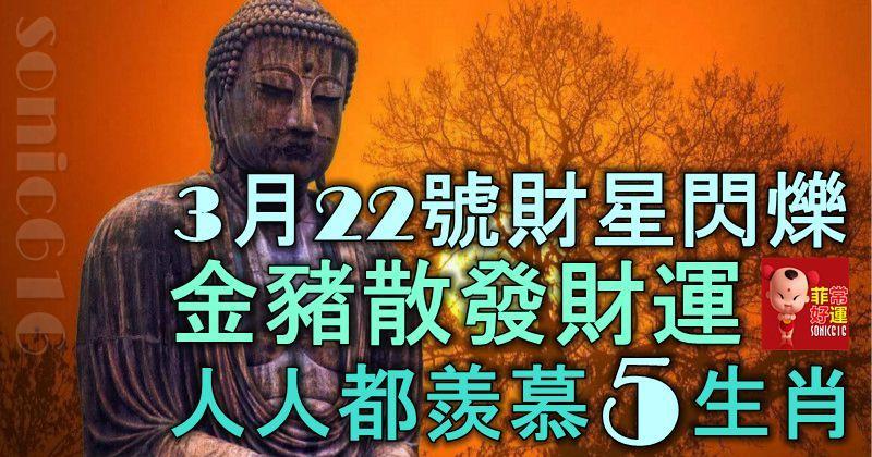 3月22號一到，財星閃爍，喜鵲高歌，金豬散發財運，人人都羨慕的5大生肖！