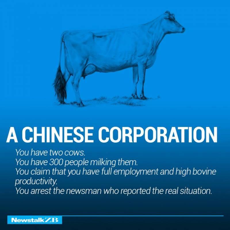 只需要這兩頭牛就能解釋全球各種經濟型態，你再也不用翻經濟學的書了！