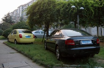 車主將剛買不久的新車停在路邊，第二天去取車時車子竟然變成了「馬蜂窩」！得知事情的緣由後，車主羞愧得無地自容....