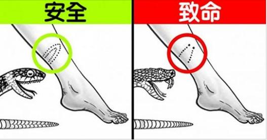 長知識…12個「在危急時刻能夠讓你活下去」的自救知識！