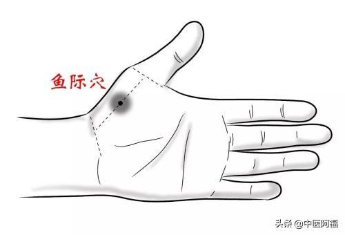 魚際穴——寶寶消化不良的良方