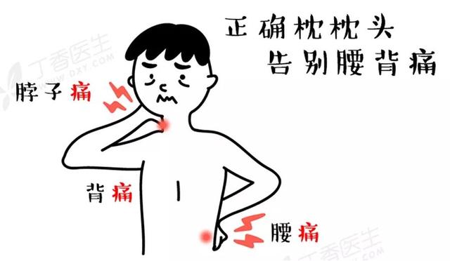 枕頭用錯傷頸椎，3 步教你選個好枕頭