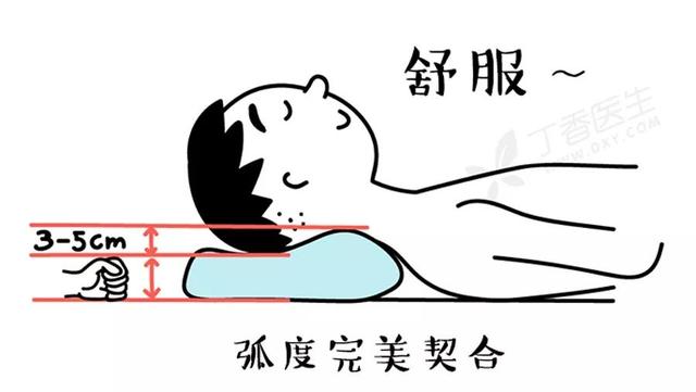 枕頭用錯傷頸椎，3 步教你選個好枕頭