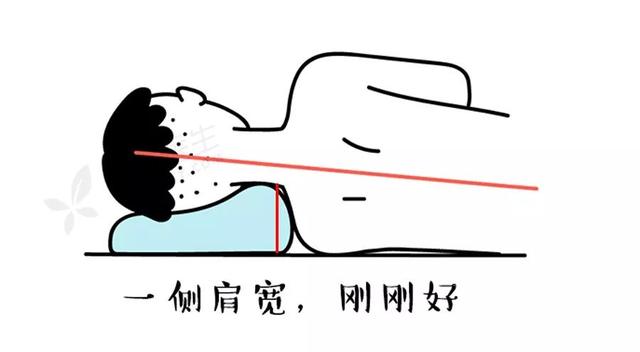 枕頭用錯傷頸椎，3 步教你選個好枕頭