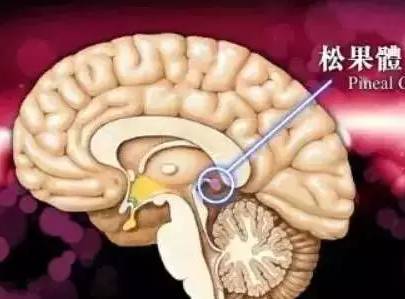 千萬注意！睡覺時一個小習慣，可能讓你變胖甚至致癌！很多人都有這個毛病！