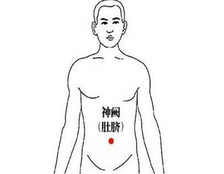 每天甩手5分鐘、把腰部肌肉打開，腰不酸痛，手腳暖和