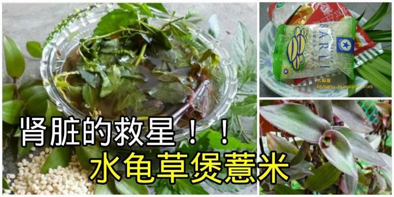 腎臟的救星！只需「水龜草」和「薏米」一起煲來喝，效果超好！...