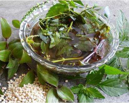 腎臟的救星！只需「水龜草」和「薏米」一起煲來喝，效果超好！...