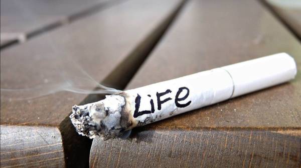 心血管專家教你「降脂絕招」，不用花一分錢也能「降血脂」！堅持一周，見效快，絕對值得收藏！