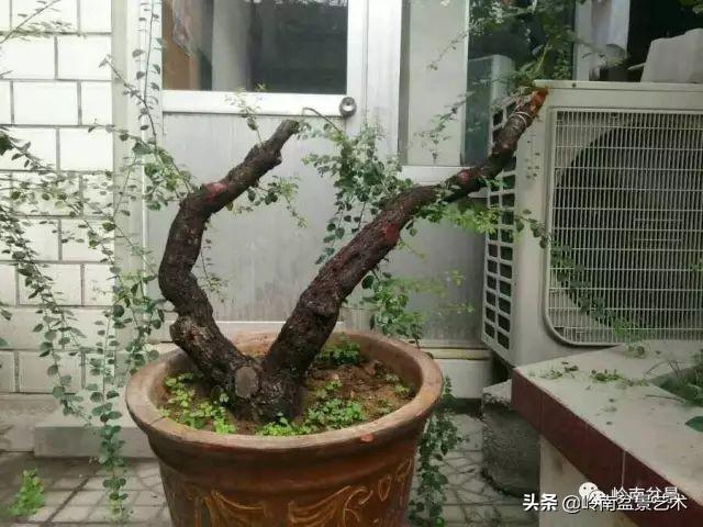 掌握了這十點，您就快成半個大師了！（附創作實例）