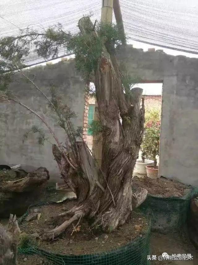 掌握了這十點，您就快成半個大師了！（附創作實例）