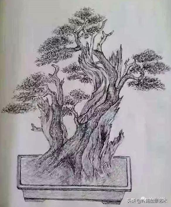 掌握了這十點，您就快成半個大師了！（附創作實例）