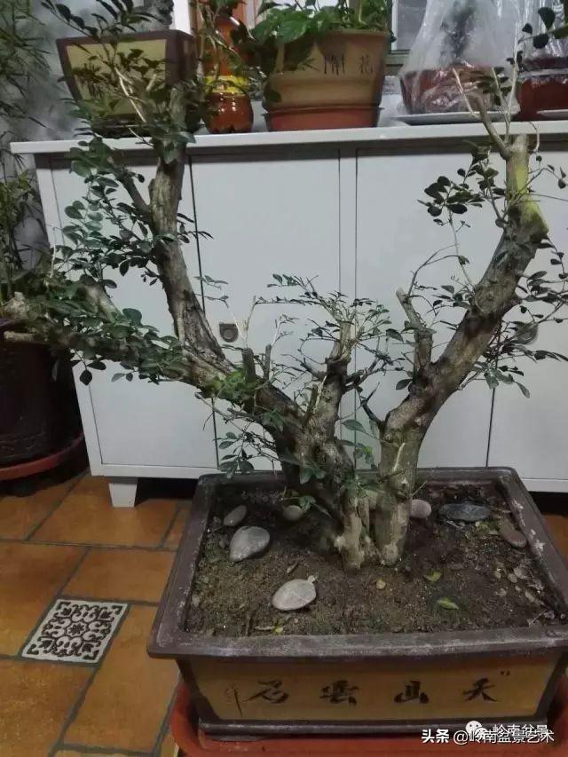 掌握了這十點，您就快成半個大師了！（附創作實例）