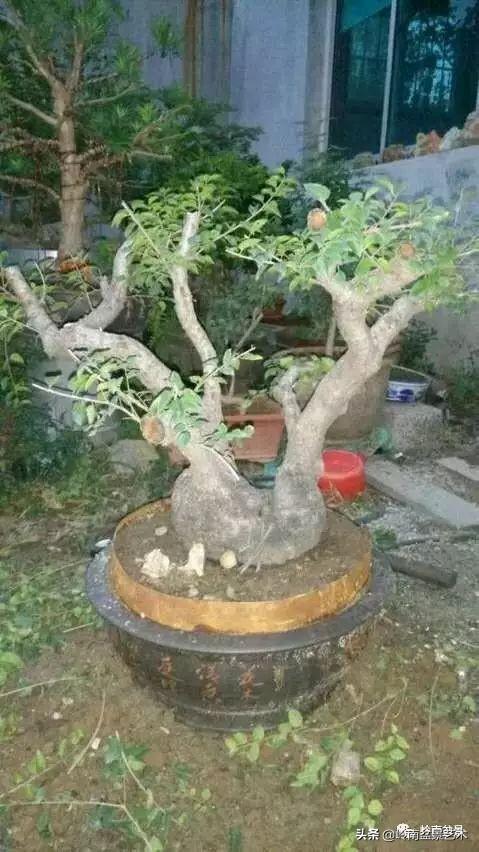 掌握了這十點，您就快成半個大師了！（附創作實例）