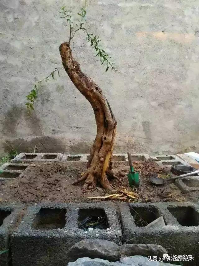 掌握了這十點，您就快成半個大師了！（附創作實例）
