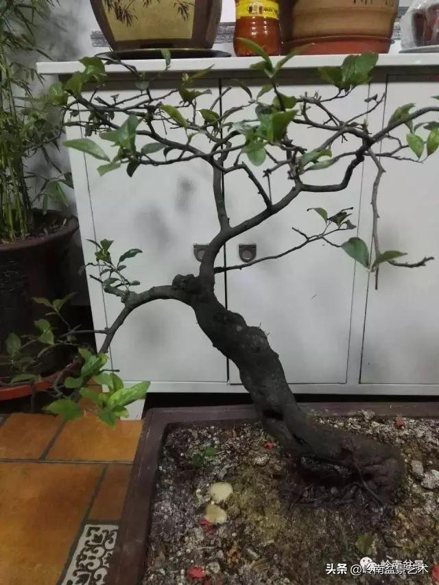掌握了這十點，您就快成半個大師了！（附創作實例）