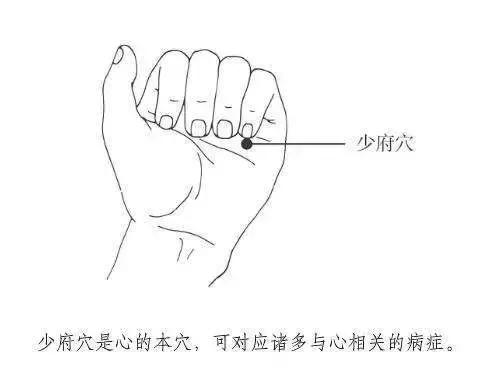 內臟在求救！心、肝、脾、肺、腎五臟之毒如何排？對症防病！