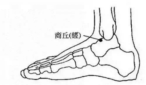 內臟在求救！心、肝、脾、肺、腎五臟之毒如何排？對症防病！