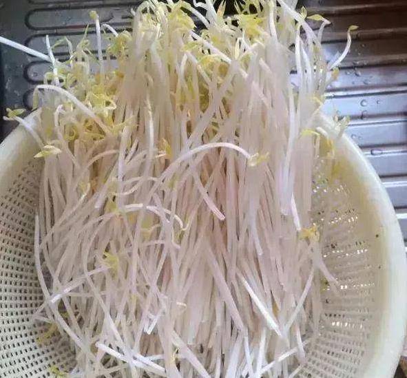 芹菜,青蔥,豆芽不用買，1個可樂瓶就能做出來，綠色又美味 ，省錢又健康！！