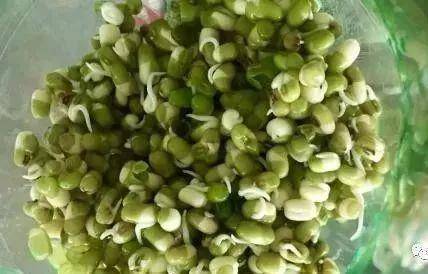 芹菜,青蔥,豆芽不用買，1個可樂瓶就能做出來，綠色又美味 ，省錢又健康！！
