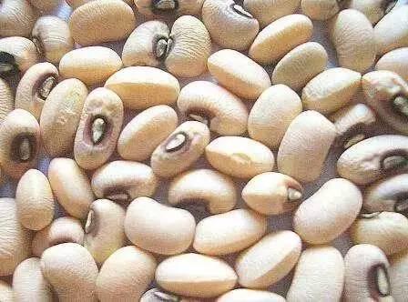 喝水瘦身的最佳時間表 健康又瘦身