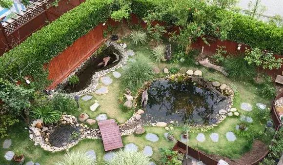 2種「天然營養水」，每周澆1次，吊蘭新枝猛躥，文竹爬滿牆！