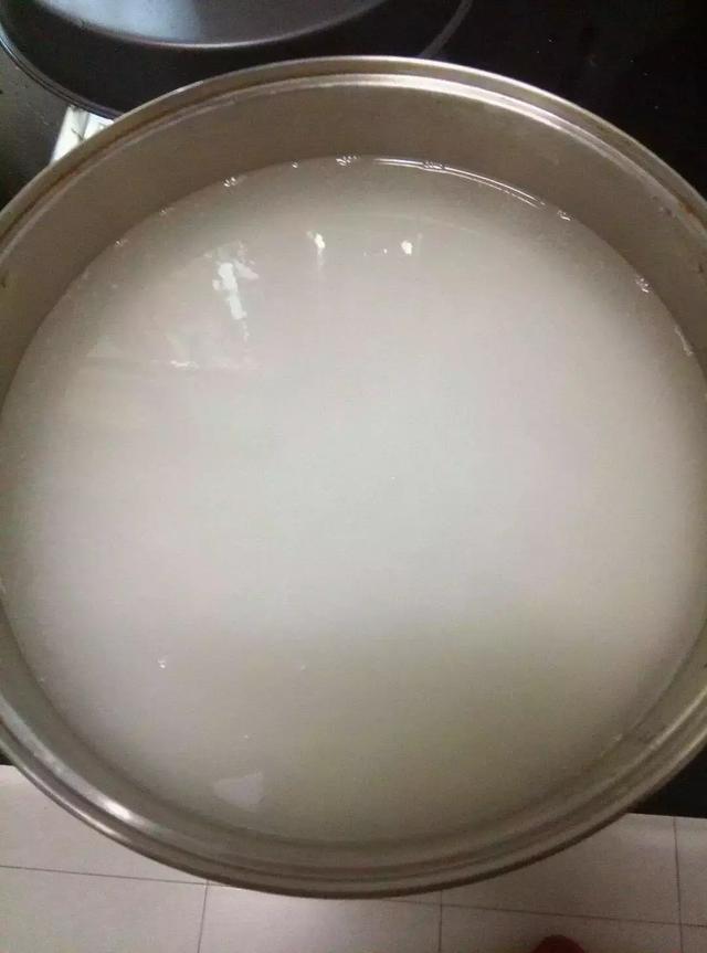 2種「天然營養水」，每周澆1次，吊蘭新枝猛躥，文竹爬滿牆！