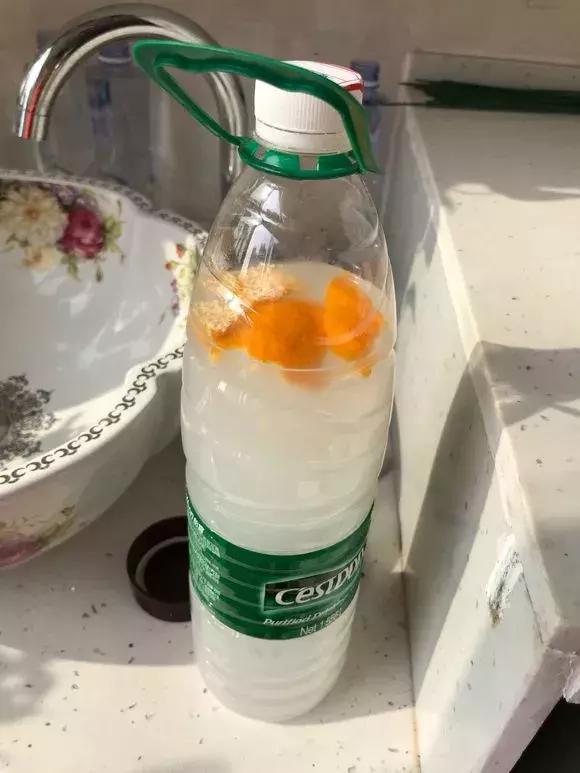 2種「天然營養水」，每周澆1次，吊蘭新枝猛躥，文竹爬滿牆！