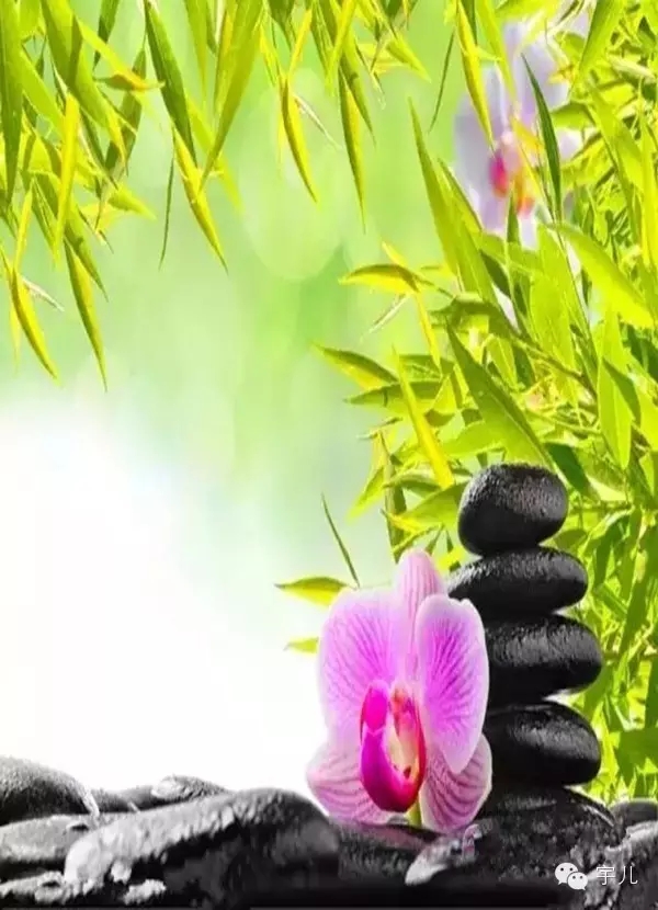 種什麼因得什麼果，施什麼心得什麼報 