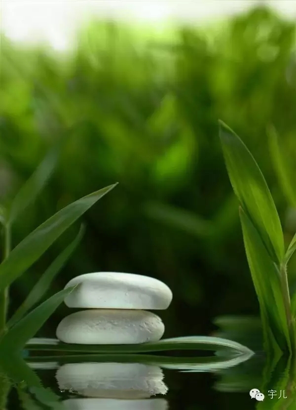 種什麼因得什麼果，施什麼心得什麼報 