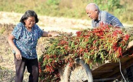 兒子買兩條魚去看母親，妻子不讓給錢，兒走後，母親去洗魚哭了