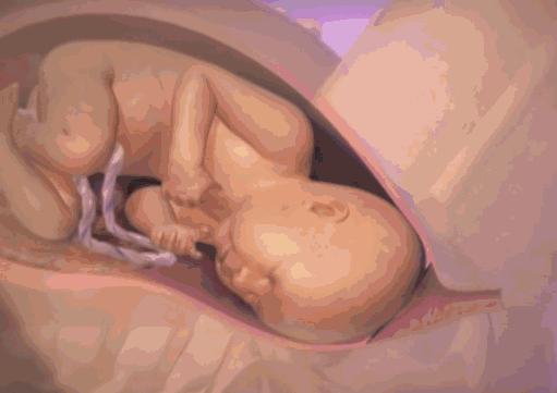 生孩子究竟有多痛？分娩體驗過後，誰還敢說「不就是生個孩子嘛」