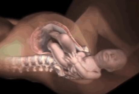 生孩子究竟有多痛？分娩體驗過後，誰還敢說「不就是生個孩子嘛」