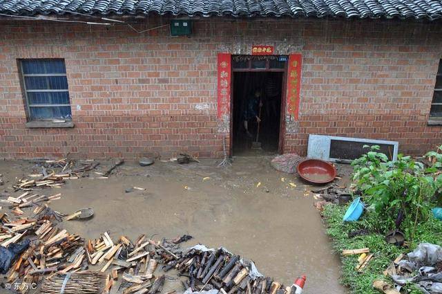 兩個兒子全都有錢，老母親卻在窮女兒家養老，4個月後女兒恍然大悟