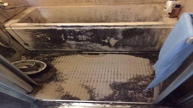 噁妻不刷牙、不洗頭，過年才洗一次澡。。! 「黑癬多到堵住排水孔」 夫忍13年頂不順離婚 ...!!