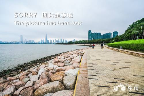 近50歲的鐘麗緹素顏曝光，嬸樣畢露，肚子大得可怕！網友：老公怎麼敢要