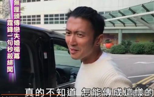 謝霆鋒與楊冪戀愛？回應犀利，表示不會與王菲結婚！